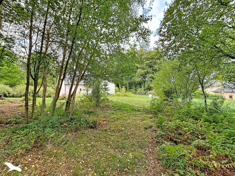 Vente Terrain Treffrin - -1155 m² - (22340)