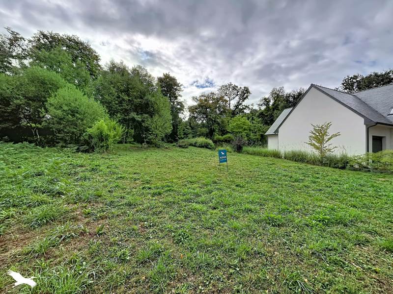 Vente Terrain Treffrin - -1155 m² - (22340)