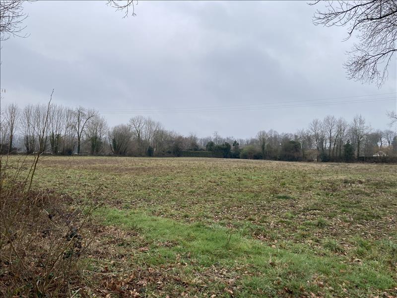 Vente Terrain LIVRON - -10646 m² - (64530)