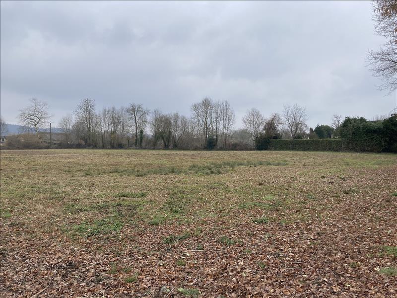 Vente Terrain LIVRON - -10646 m² - (64530)