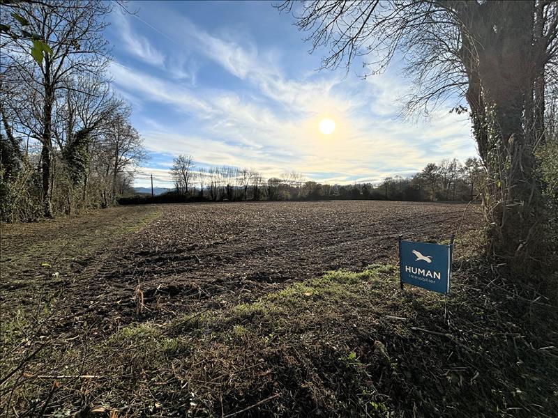 Vente Terrain LIVRON - -10646 m² - (64530)