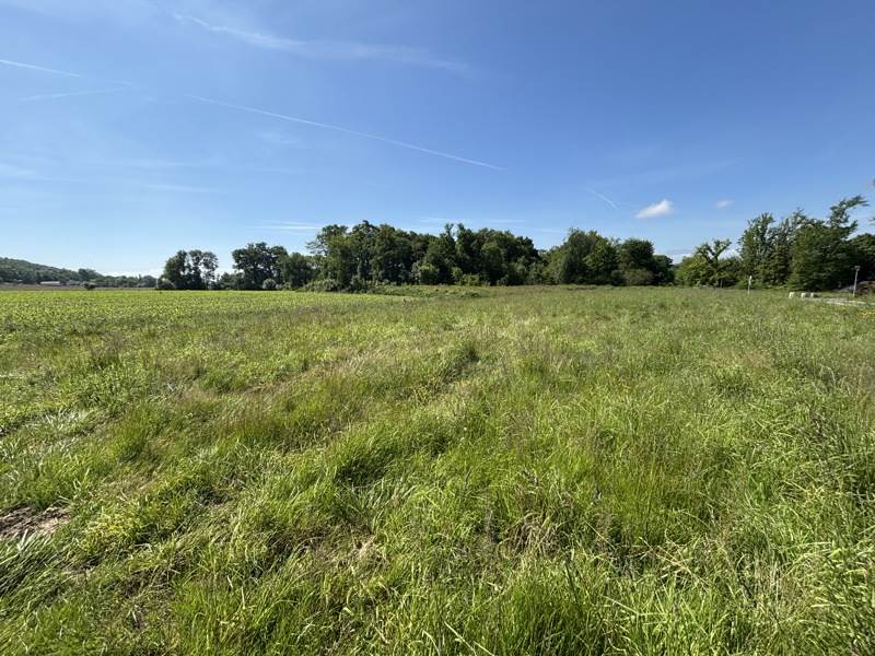 Vente Terrain SOUMOULOU - -704 m² - (64420)