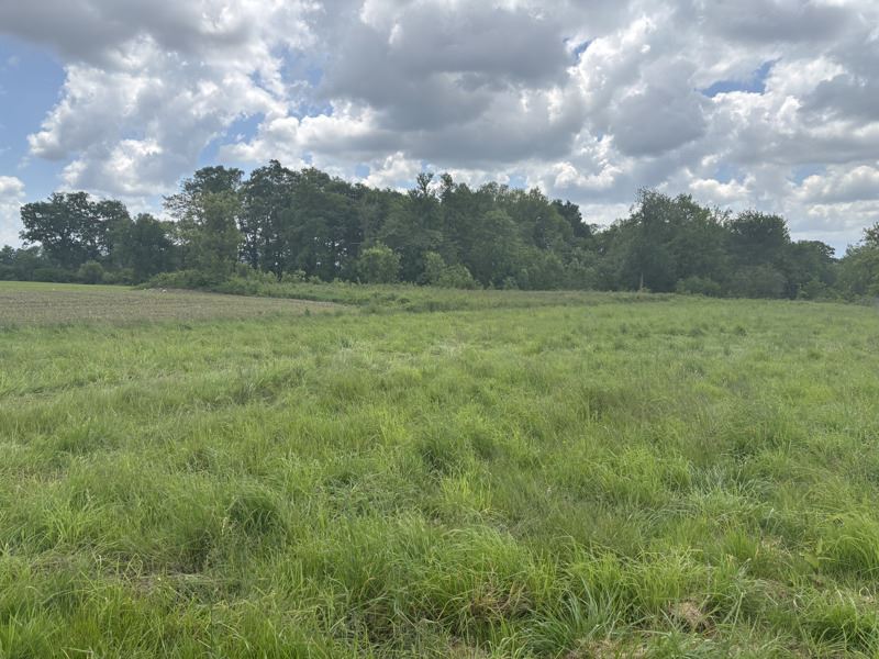 Vente Terrain SOUMOULOU - -634 m² - (64420)