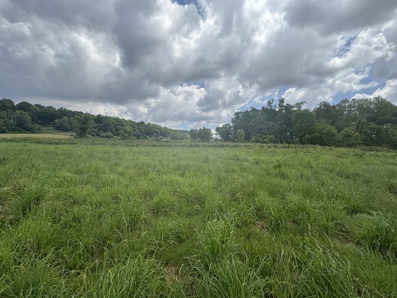 Vente Terrain SOUMOULOU - -942 m² - (64420)