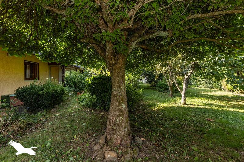 Vente Maison GER - 5 pièces -150 m² - (64530)