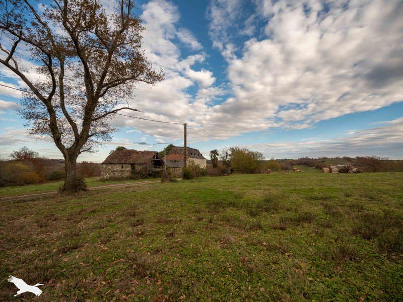 Vente Maison LUCQ DE BEARN - 1 pièce -230 m² - (64360)
