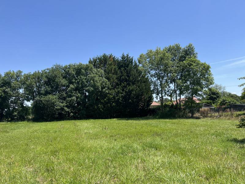 Vente Terrain BOUGARBER - -1077 m² - (64230)