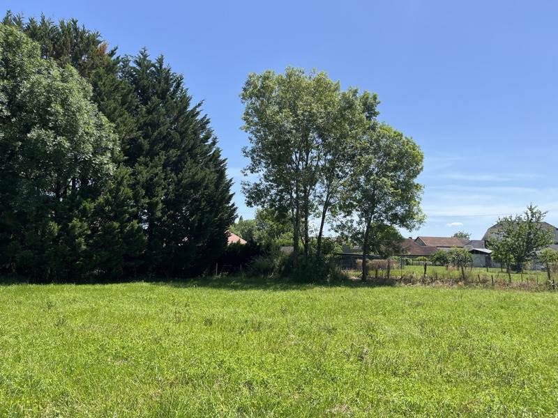 Vente Terrain BOUGARBER - -1077 m² - (64230)