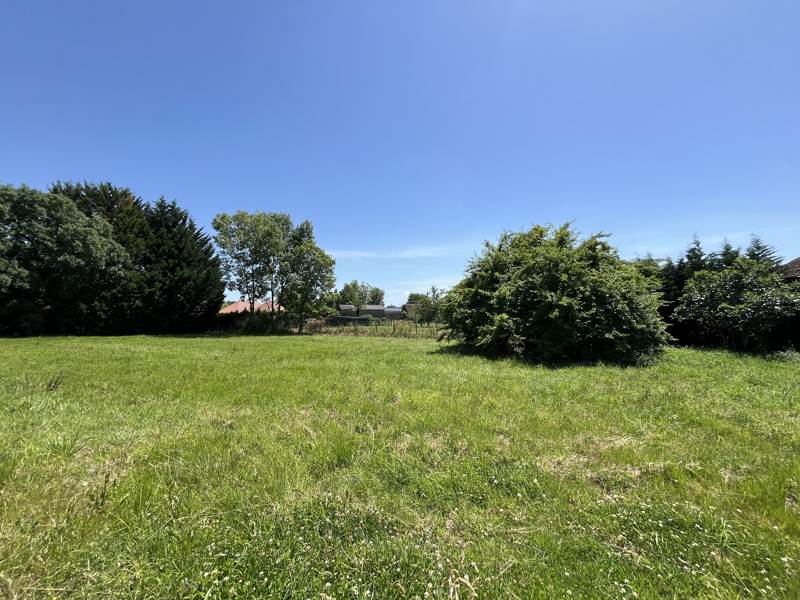 Vente Terrain BOUGARBER - -804 m² - (64230)