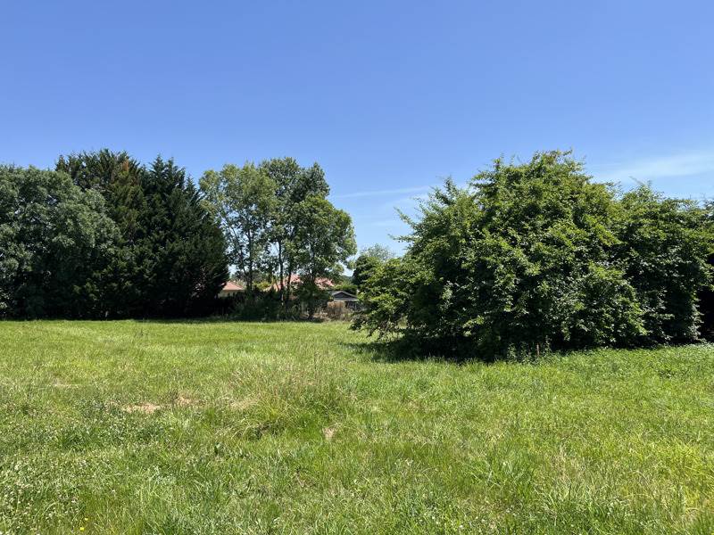 Vente Terrain BOUGARBER - -804 m² - (64230)