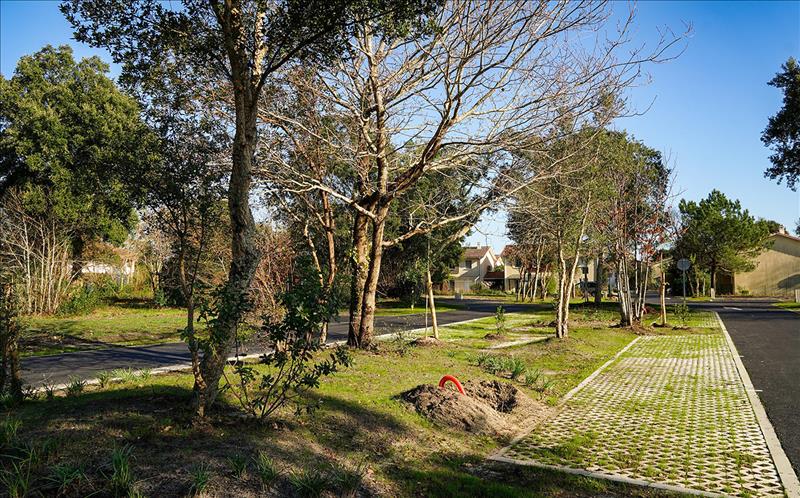 Vente Terrain BENESSE MAREMNE - -692 m² - (40230)