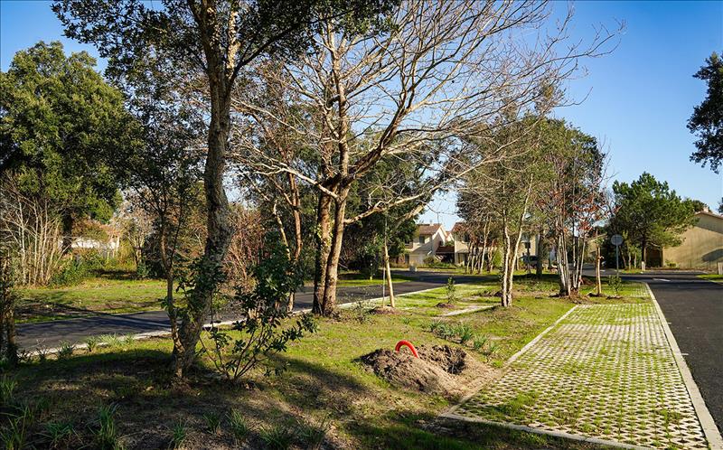 Vente Terrain BENESSE MAREMNE - -558 m² - (40230)