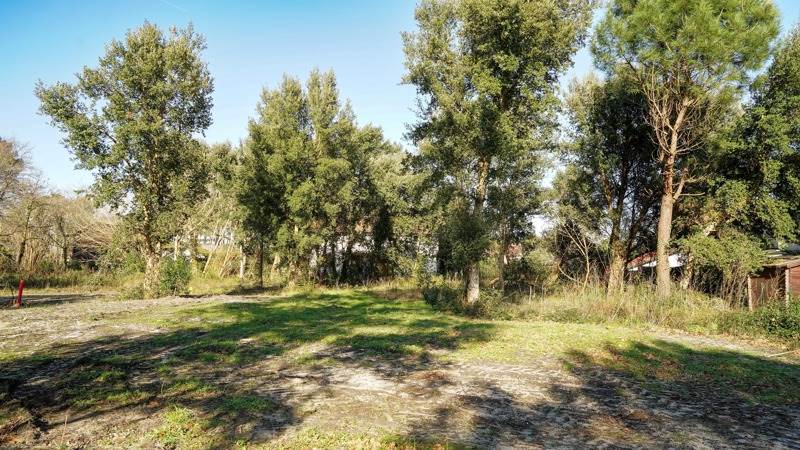 Vente Terrain BENESSE MAREMNE - -617 m² - (40230)