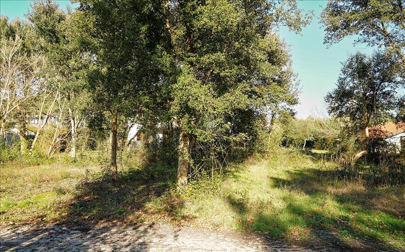 Vente Terrain BENESSE MAREMNE - -617 m² - (40230)