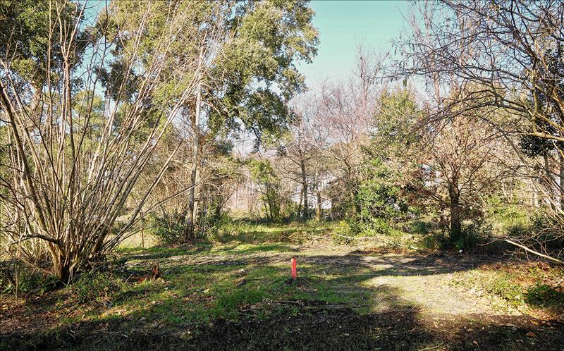 Vente Terrain BENESSE MAREMNE - -731 m² - (40230)