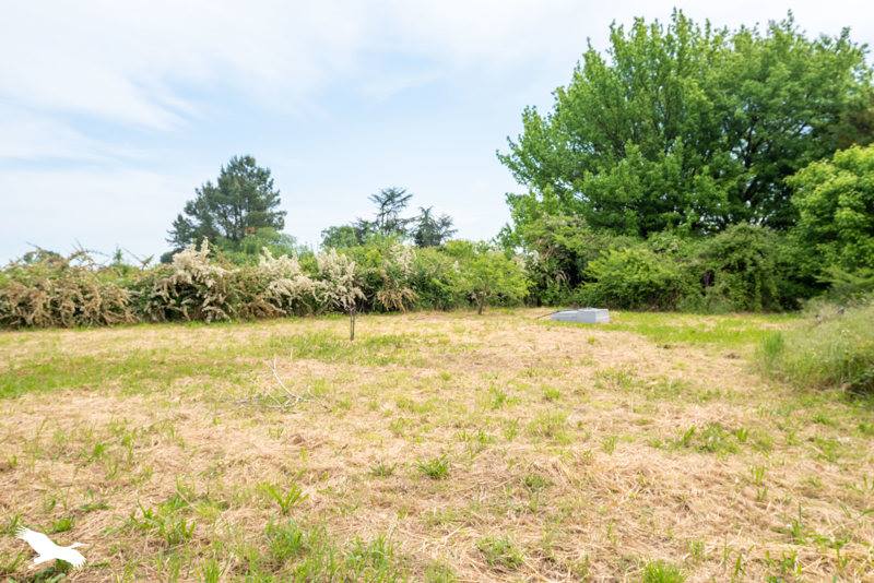 Vente Maison TARTAS - 6 pièces -186 m² - (40400)