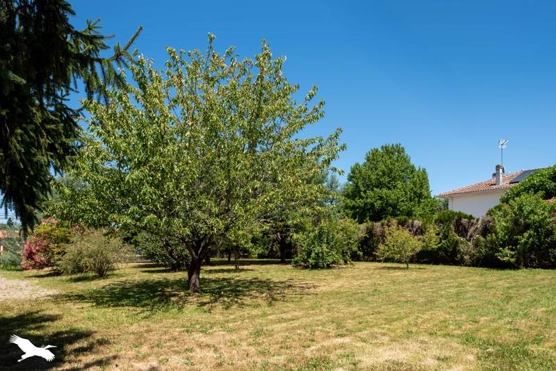 Vente Maison CASSEN - 4 pièces -80 m² - (40380)