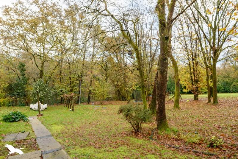 Vente Maison MONTFORT EN CHALOSSE - 6 pièces -200 m² - (40380)