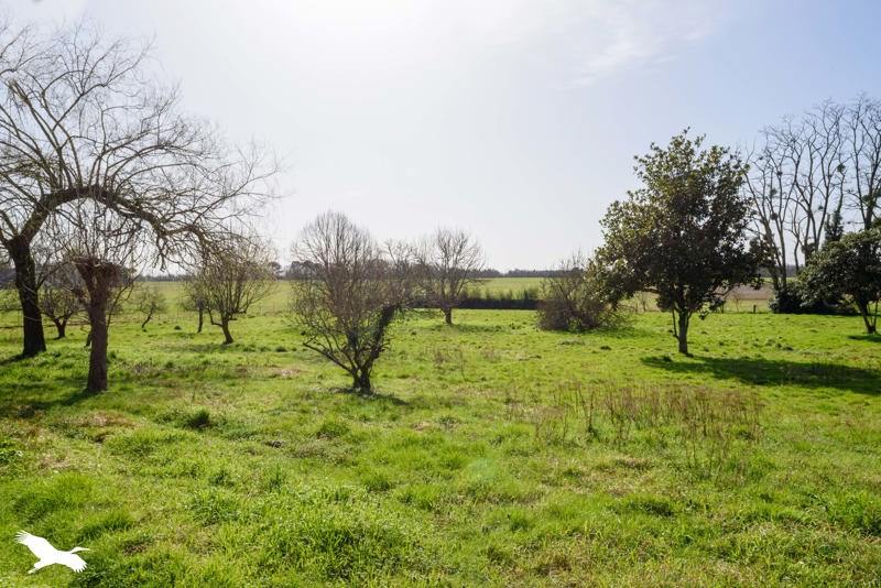 Vente Maison CARCARES STE CROIX - 6 pièces -183 m² - (40400)