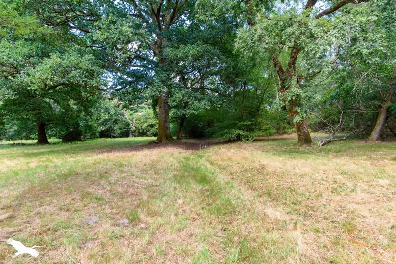 Vente Maison BEYLONGUE - 7 pièces -187 m² - (40370)