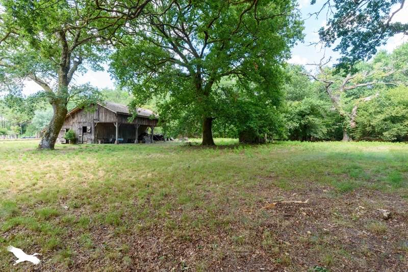 Vente Maison BEYLONGUE - 7 pièces -187 m² - (40370)