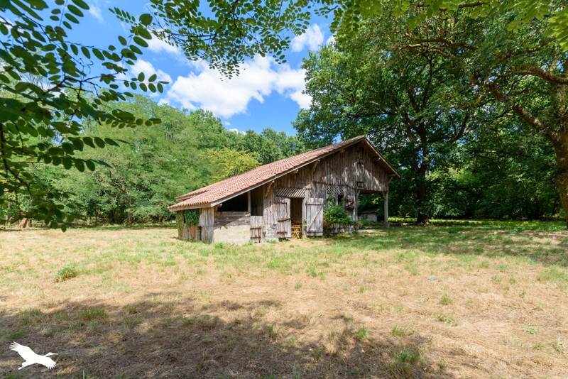 Vente Maison BEYLONGUE - 7 pièces -187 m² - (40370)