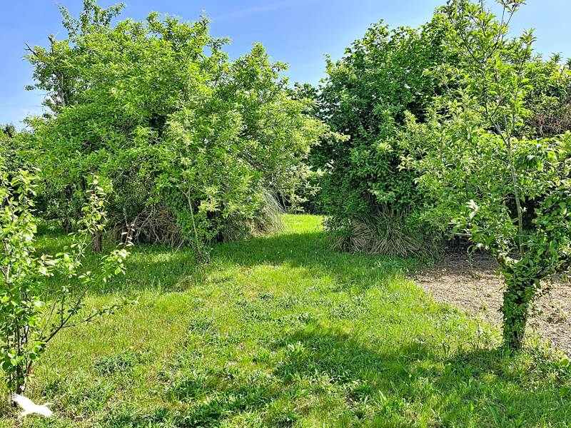 Vente Maison Souprosse - 5 pièces -92 m² - (40250)