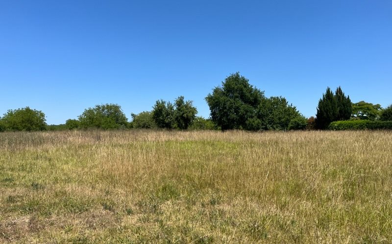Vente Terrain Bassillac et Auberoche - -2496 m² - (24640)