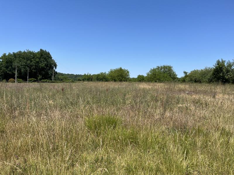 Vente Terrain Bassillac et Auberoche - -2496 m² - (24640)