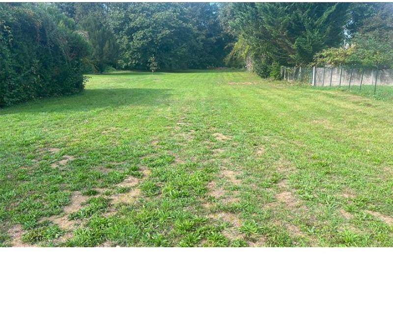 Vente Terrain ANTONNE ET TRIGONANT - -1891 m² - (24420)
