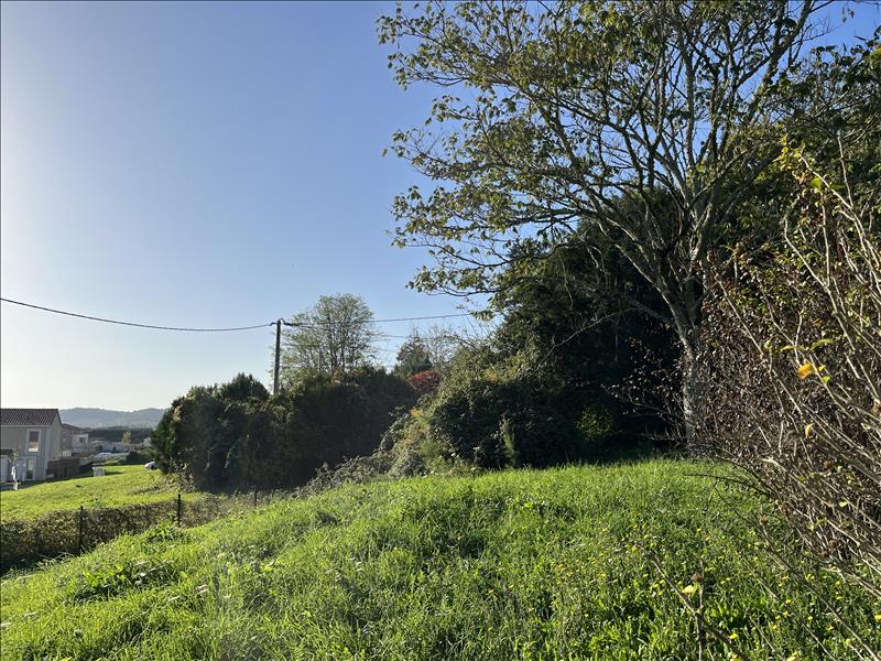 Vente Terrain TRELISSAC - -839 m² - (24750)