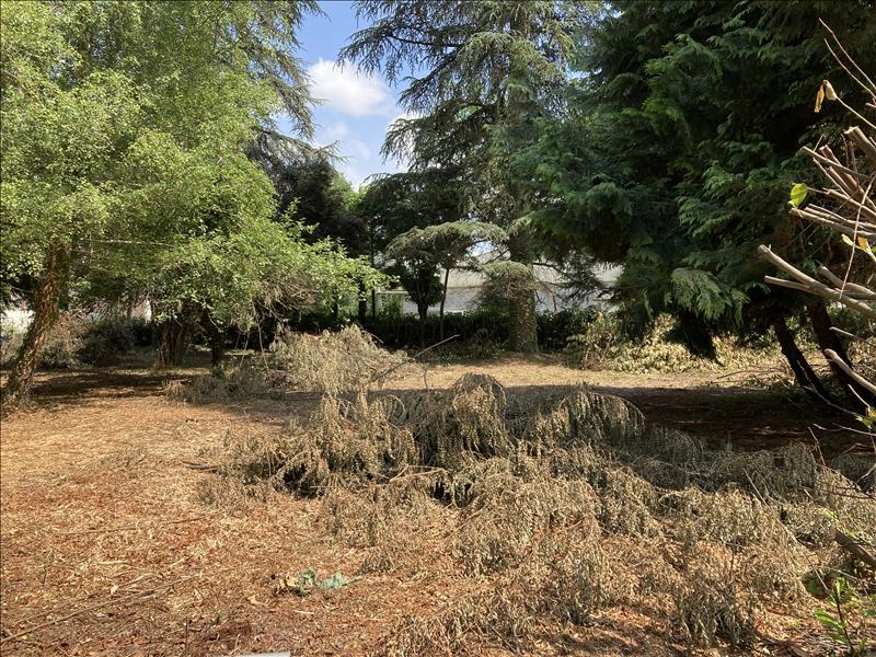 Terrain 1259 m² · à Antonne-Et-Trigonant · 1 259 m² · 46 400 €