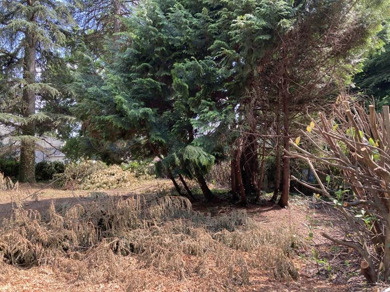Vente Terrain ANTONNE ET TRIGONANT - -1259 m² - (24420)