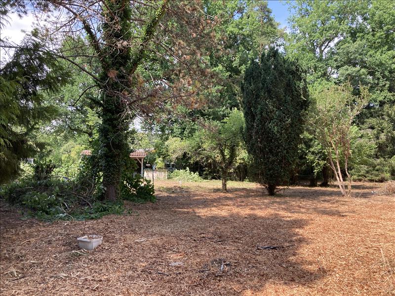 Terrain à vendre · à Antonne-Et-Trigonant · 35 400 €