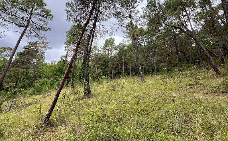 Terrain 4 pièces · à Antonne-Et-Trigonant · 41 300 €