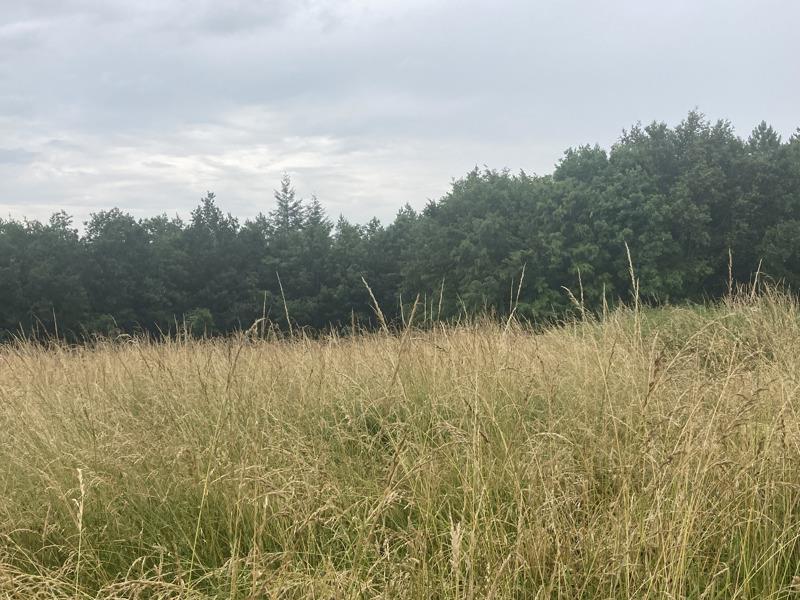 Vente Maison TRELISSAC - 5 pièces -82 m² - (24750)