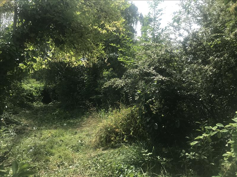 Vente Maison BLOU - 5 pièces -92 m² - (49160)