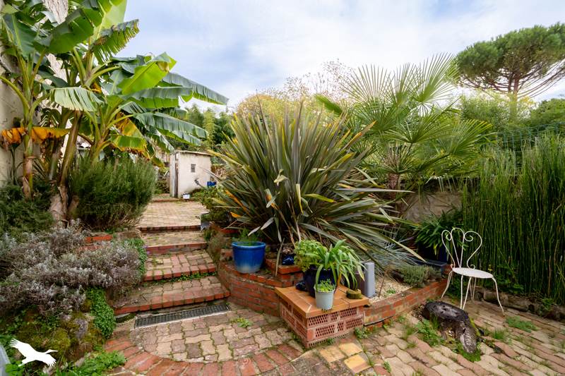 Vente Maison MONTSOREAU - 7 pièces -200 m² - (49730)