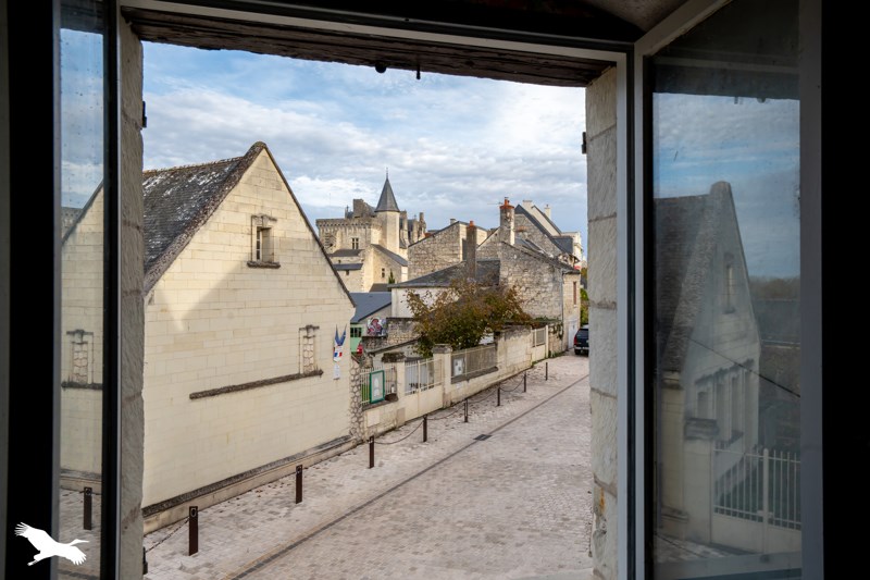 Vente Maison MONTSOREAU - 7 pièces -200 m² - (49730)
