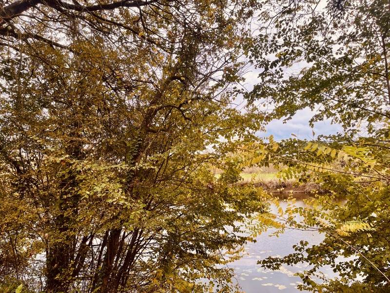 Vente Terrain LE COUDRAY MACOUARD - -1050 m² - (49260)
