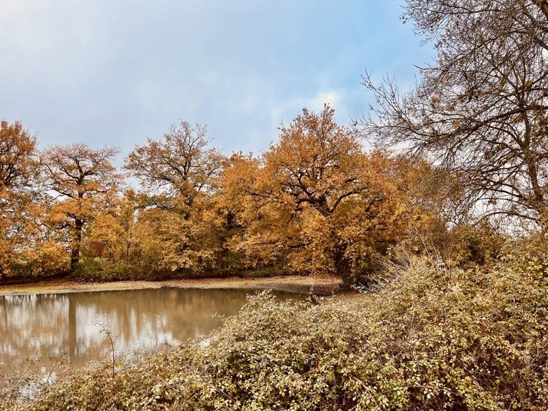 Vente Maison NOYANT VILLAGES - 5 pièces -114 m² - (49390)