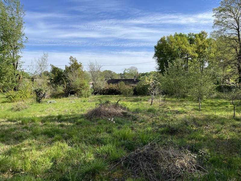 Vente Terrain TRESSES - -1101 m² - (33370)