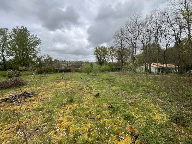 Vente Terrain TRESSES - -1101 m² - (33370)