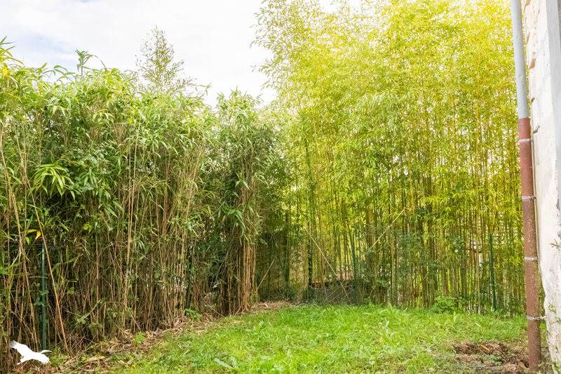 Vente Maison CARIGNAN DE BORDEAUX - 3 pièces -59 m² - (33360)