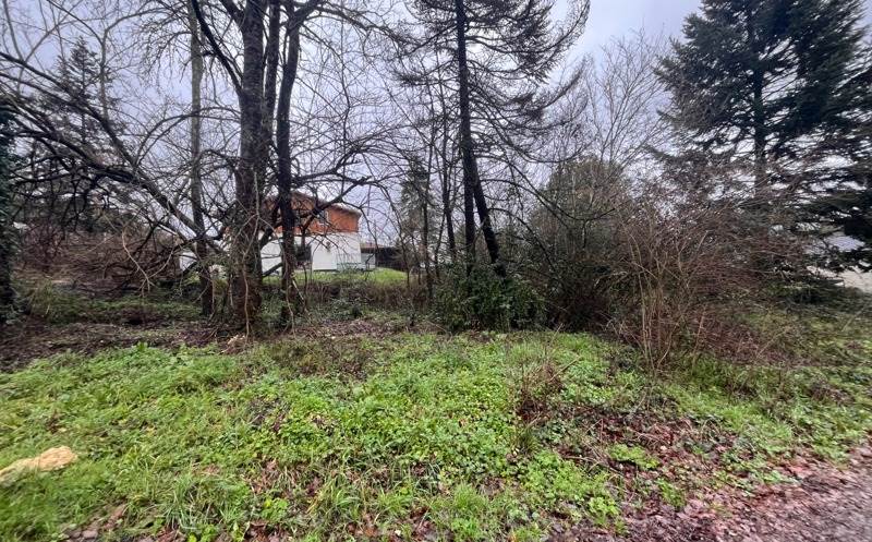 Vente Terrain BONNETAN - -770 m² - (33370)
