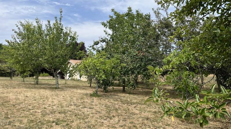 Vente Terrain LIGNAN DE BORDEAUX - -1030 m² - (33360)