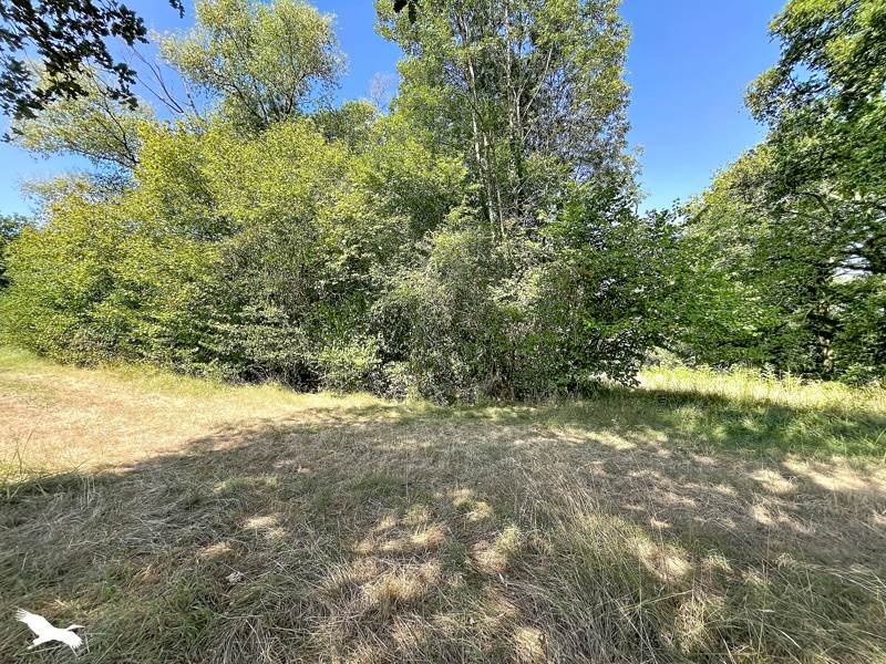 Vente Immeuble LIGNAN DE BORDEAUX - -  150 m² - (33360)