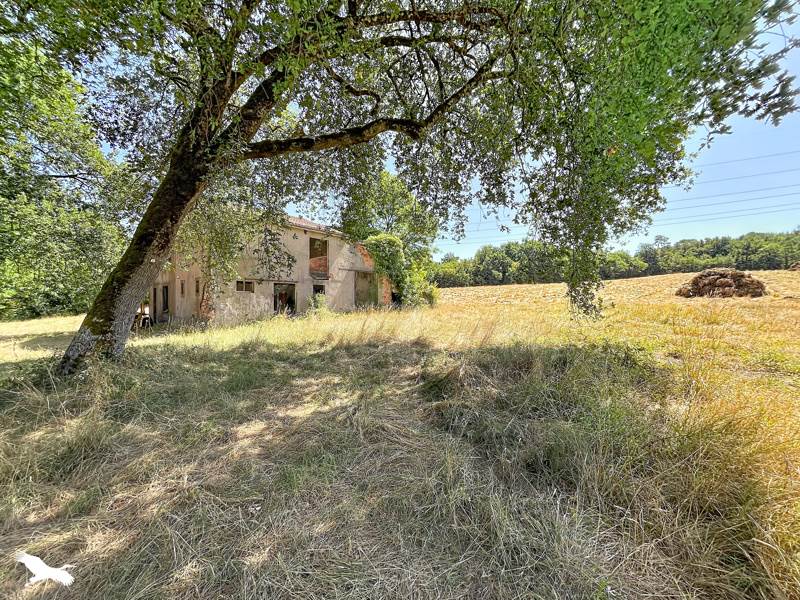 Vente Immeuble LIGNAN DE BORDEAUX - -  150 m² - (33360)