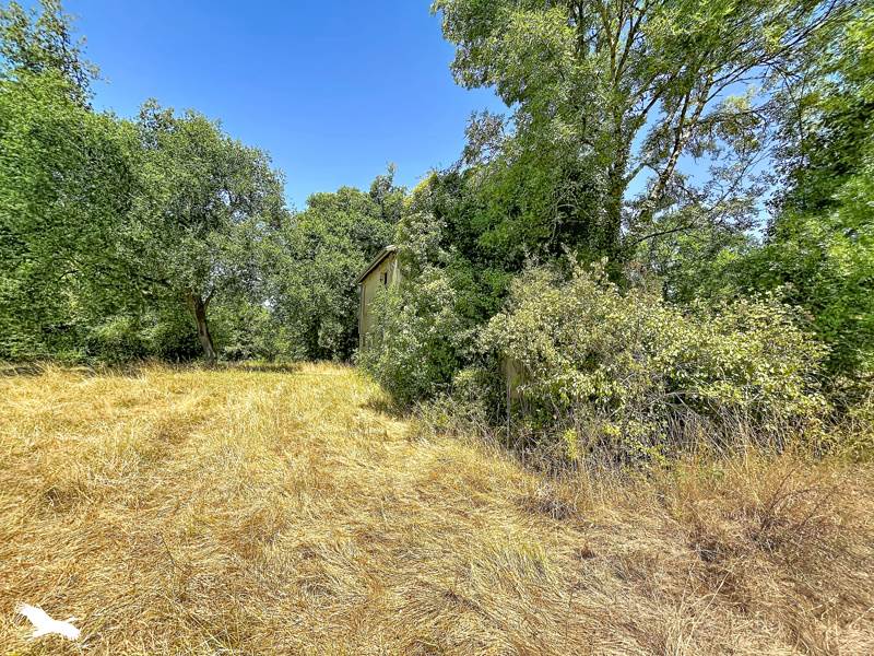 Vente Immeuble LIGNAN DE BORDEAUX - -  150 m² - (33360)
