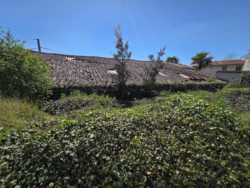 Vente Grange SAINTES - 1 pièce -224 m² - (17100)